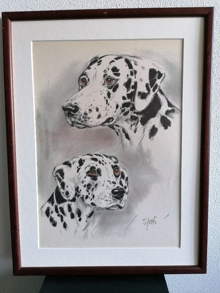 Dalmatier Honden Origineel Litho Diana Thorne Lijst 1944, Antiek en Kunst, Ophalen of Verzenden
