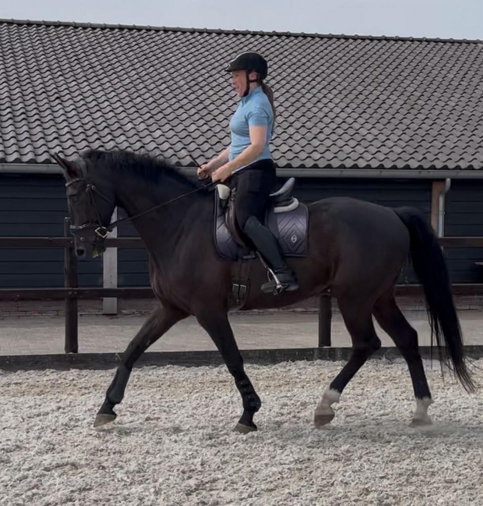 Beleren, doorrijden, instructie, paarden met trauma, Diensten en Vakmensen, Dieren | Paarden | Verzorging, Oppas en Les, Ruiter of Bijrijder