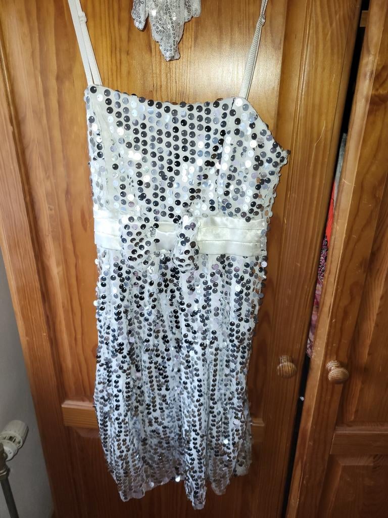 Glitter carnavals jurkje maat XS/S, Ophalen of Verzenden, Zo goed als nieuw, Maat 34 (XS) of kleiner, Carnaval