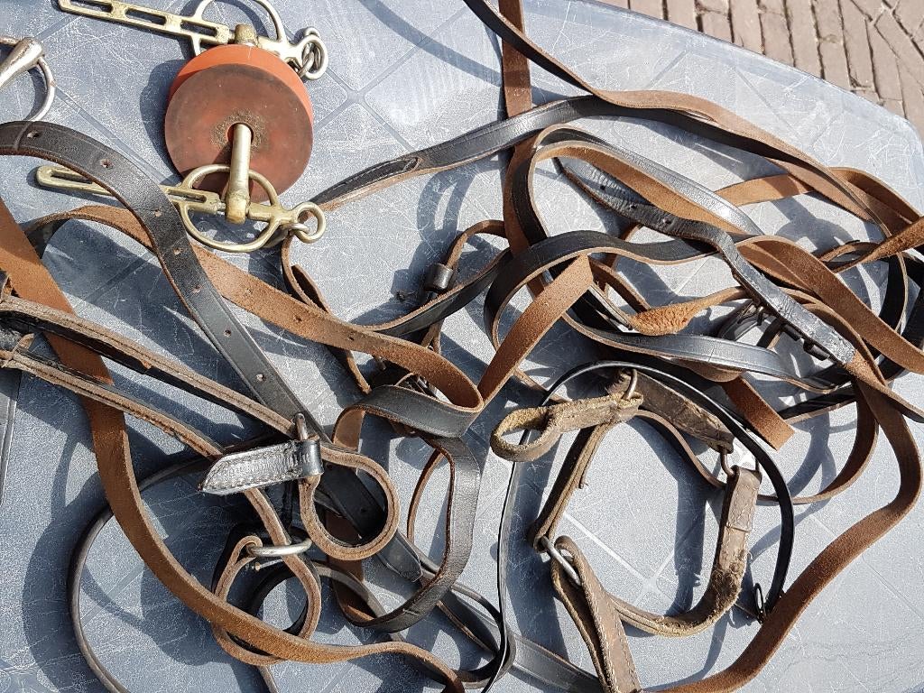 pony benodigdheden, Dieren en Toebehoren, Ophalen, Gebruikt, Overige soorten