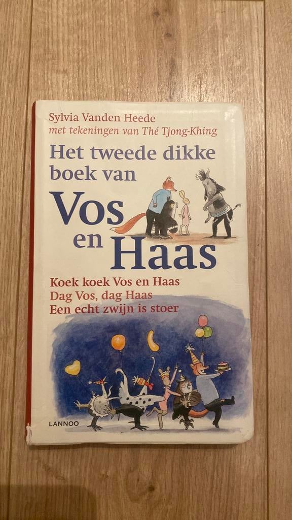 Sylvia Vanden Heede - Boek van Haas, Fictie algemeen, Ophalen of Verzenden, Zo goed als nieuw, Sylvia Vanden Heede