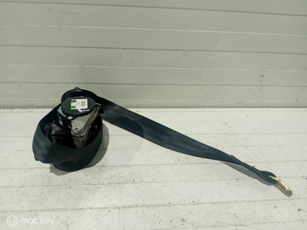 Gordel Volkswagen Passat 3B1857705D 3B1857706D, Gebruikt, Ophalen of Verzenden