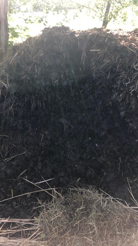 Gratis paarde mest. Natuurlijke bodem verbetering., Tuin en Terras, Ophalen of Verzenden, Mest