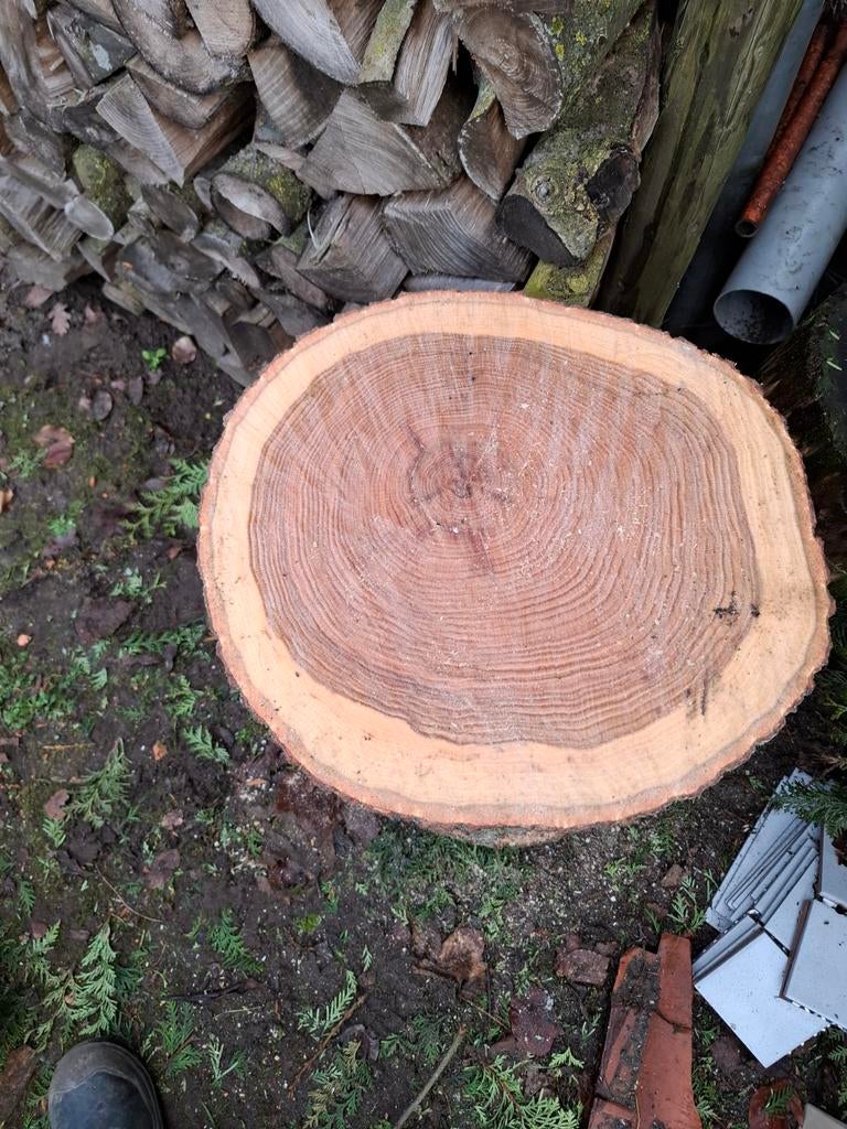 Eiken Boomstamschijf, Minder dan 25 mm, Ophalen of Verzenden, Plank, Minder dan 200 cm