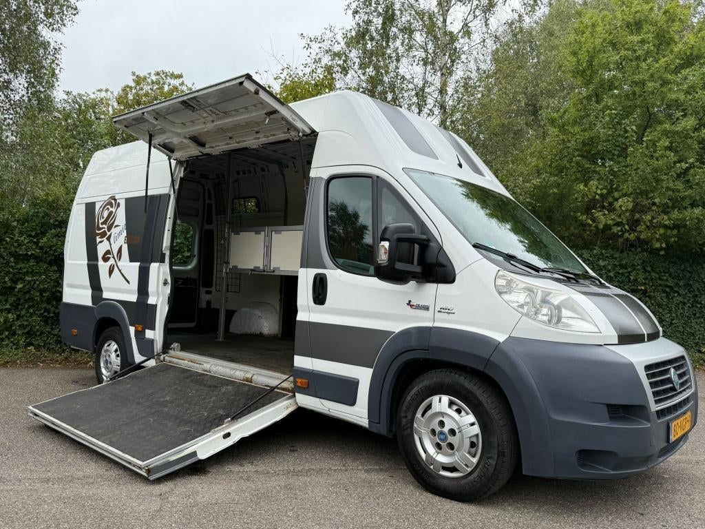 Fiat Ducato paardenbus Paardenwagen Horsetruck zijlader, Dieren en Toebehoren, Overige materialen, Rensing, Rensingautos@hotmail.com