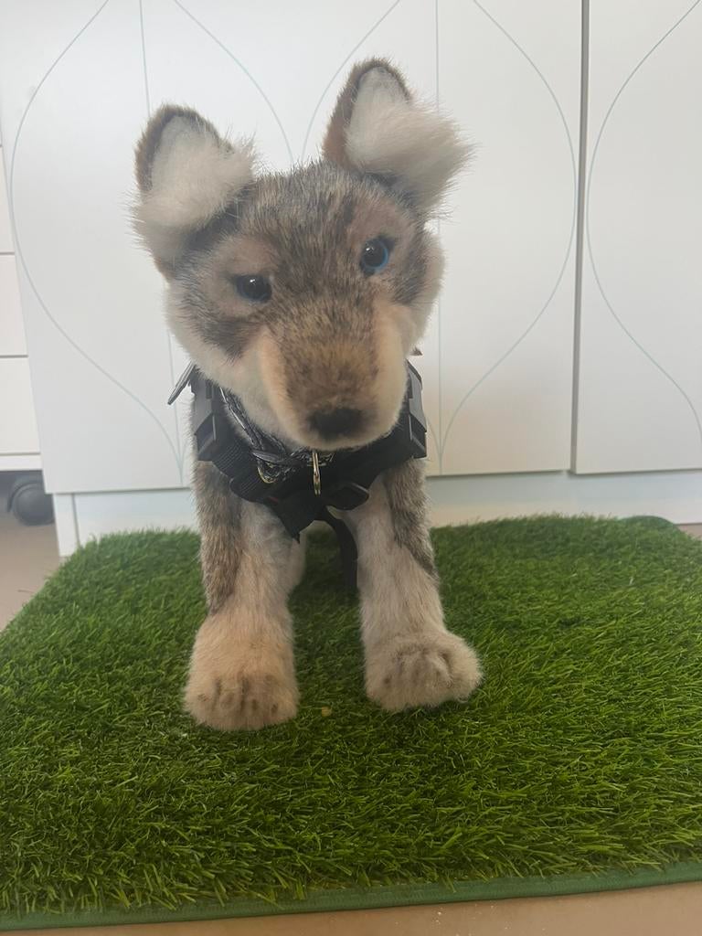 Kai de wolf ESSA (hansa creations), Kinderen en Baby's, Speelgoed | Knuffels en Pluche, Ophalen of Verzenden, Zo goed als nieuw
