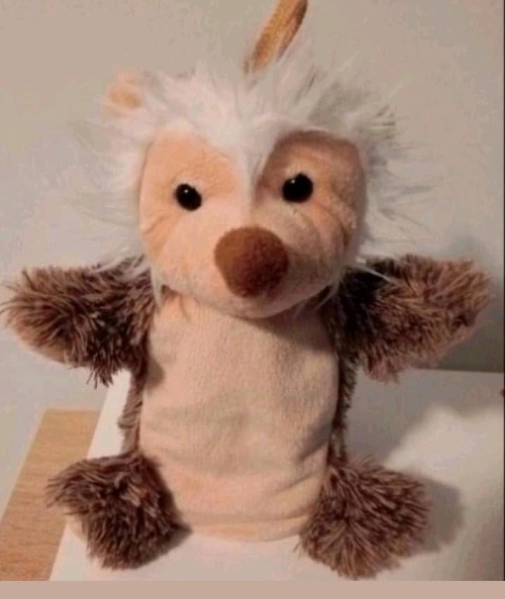 Handpop egel, Ophalen, Zo goed als nieuw, Overige typen