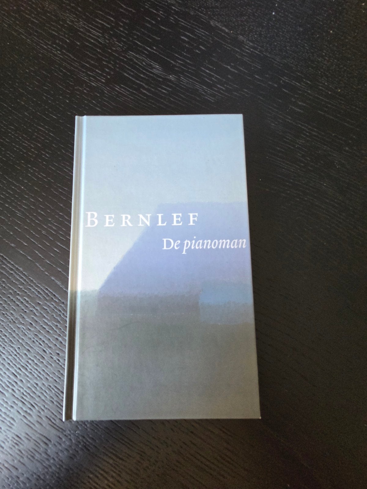 Bernlef - Boekenweekgeschenk 2008, Ophalen of Verzenden, Zo goed als nieuw, Bernlef