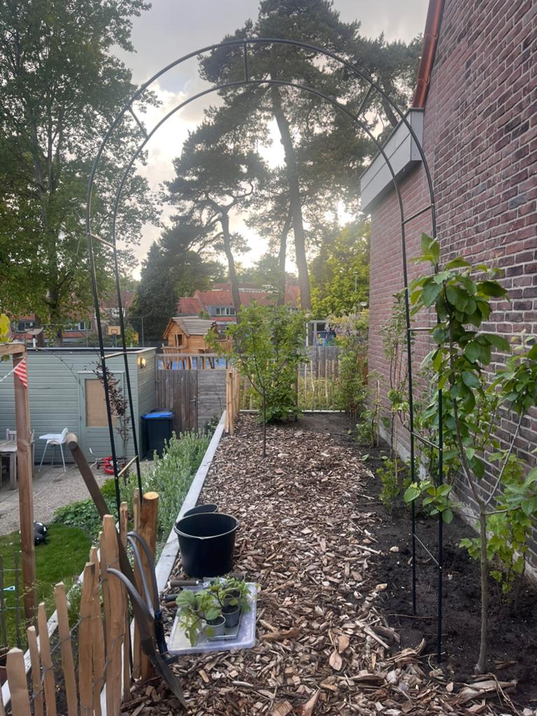 Rozenboog metaal, Ophalen, Zo goed als nieuw