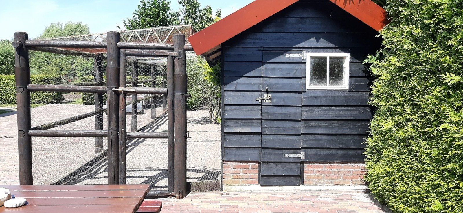 Gratis af te halen.  Ren inclusief kippenhok, Dieren en Toebehoren, Pluimvee | Toebehoren, Ophalen, Gebruikt, Overige typen