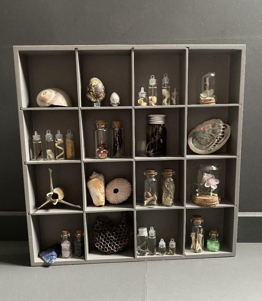 Rariteiten Letterkastje, Ophalen of Verzenden, Beeldje of Figuurtje