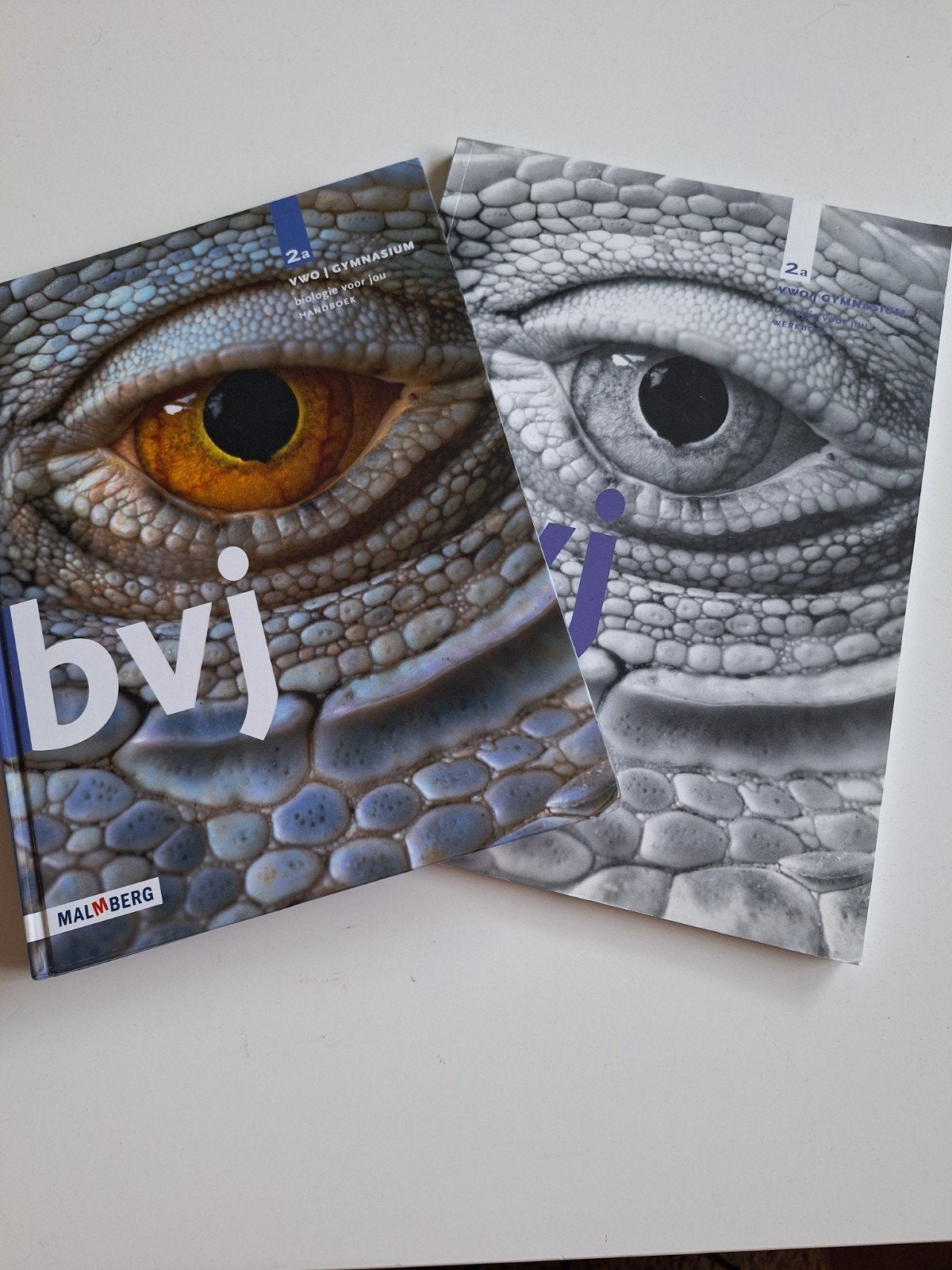 Biologie voor jou VWO/Gymnasium 2a - Malmberg, Boeken, VWO, Biologie, Ophalen of Verzenden, Zo goed als nieuw