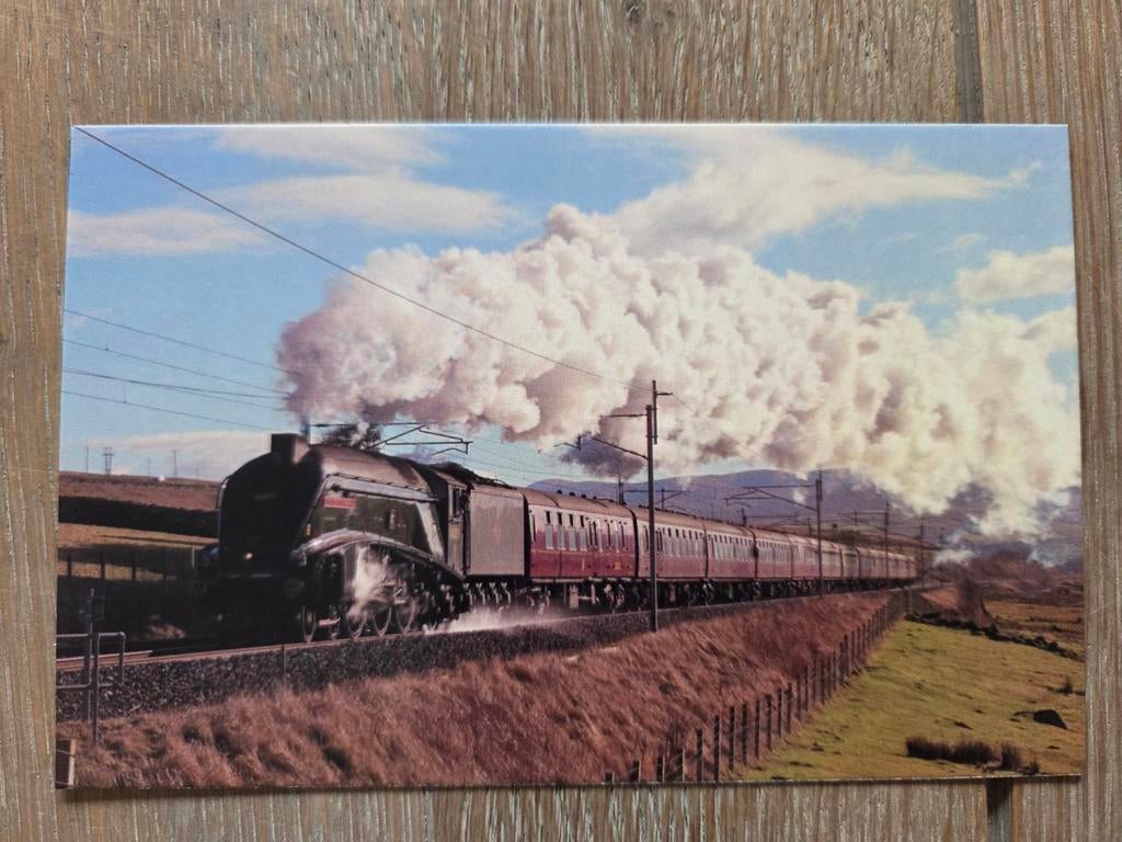 STOOMTREIN 4, Ophalen