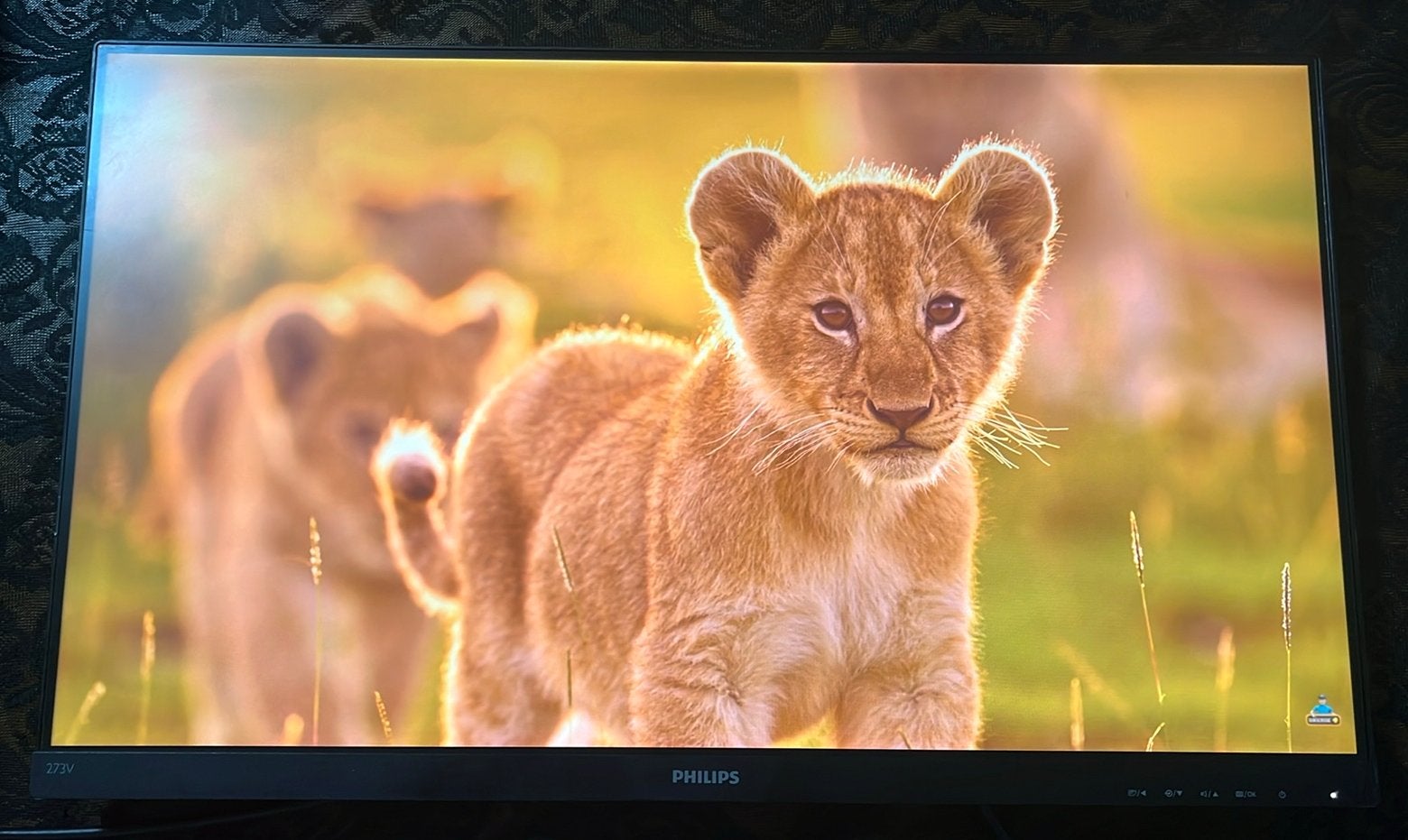 Philips Full HD LCD-monitor, Gaming, HDMI, Full HD, Ophalen of Verzenden