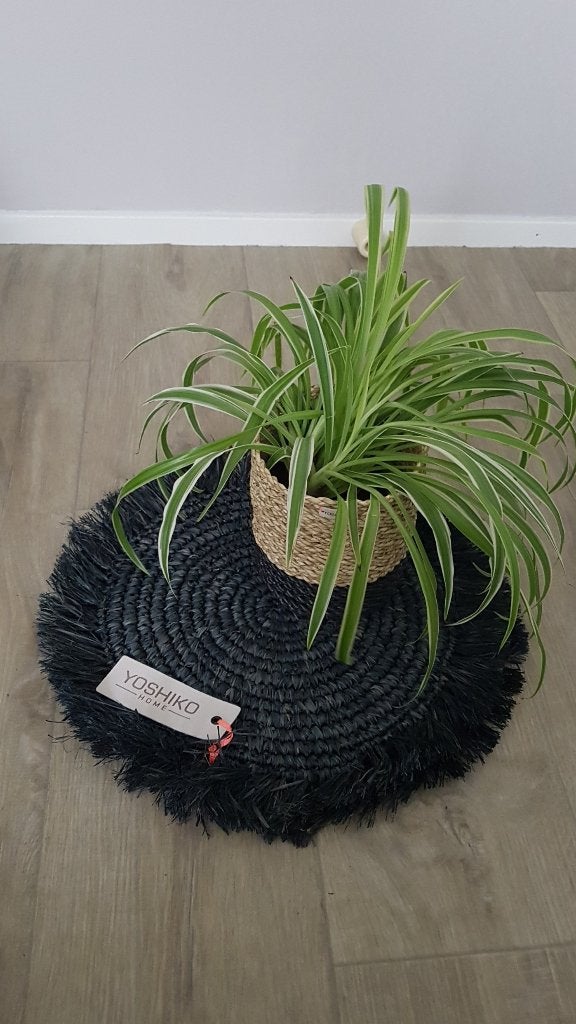 Nieuw Yoshiko placemats zwart van gevlochten zeegras, Overige typen, Nieuw, Ophalen of Verzenden, Natuurlijk materiaal
