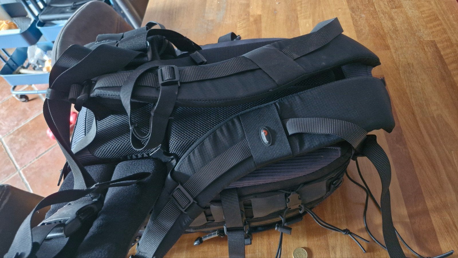 Backpack/Fototas van Lowepro, Ophalen of Verzenden, Schoudertas, Lowepro