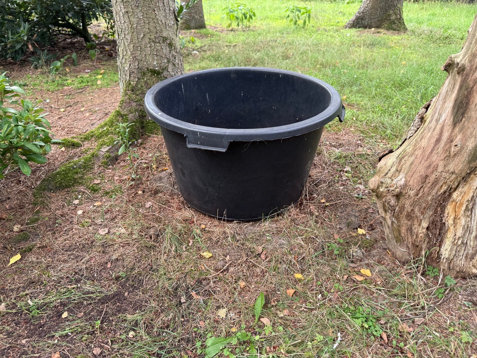Grote zwarte plastic bak voor plant of boom, Kunststof, Gebruikt, Rond, Ophalen of Verzenden