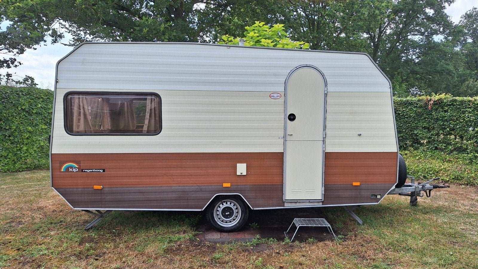 Kip Regenboog 440 uit 1981 -  met papieren, Kip, Treinzit, Particulier, 4 tot 5 meter