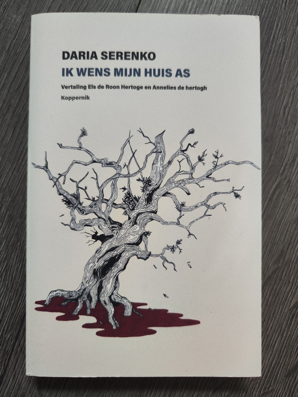 Ik wens mijn huis as - Daria Serenko | Rusland & Oekraïne, Boeken, Ophalen of Verzenden, Zo goed als nieuw, Darja Serenko