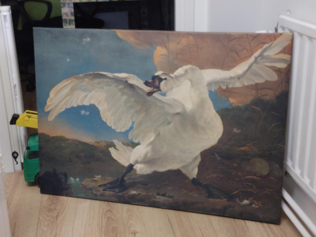 Reproductie "De Zwaan" van Jan Asselijn - Canvas, Antiek en Kunst, Kunst | Schilderijen | Klassiek, Ophalen of Verzenden