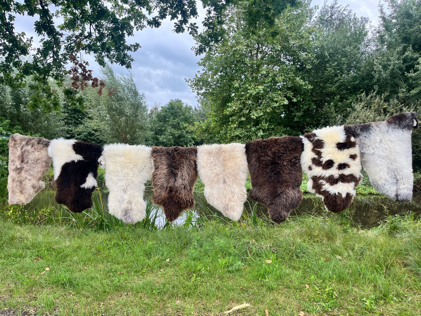 Diverse schapenvachten - Keuze is reuze!, Beige, Nieuw, Overige vormen, 50 tot 100 cm