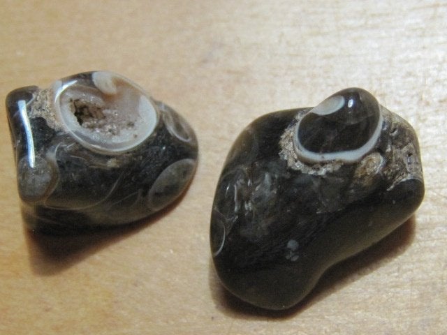 ed. 3x 2 aparte edelstenen TURRITELLA AGAAT (2), Verzenden, Nieuw