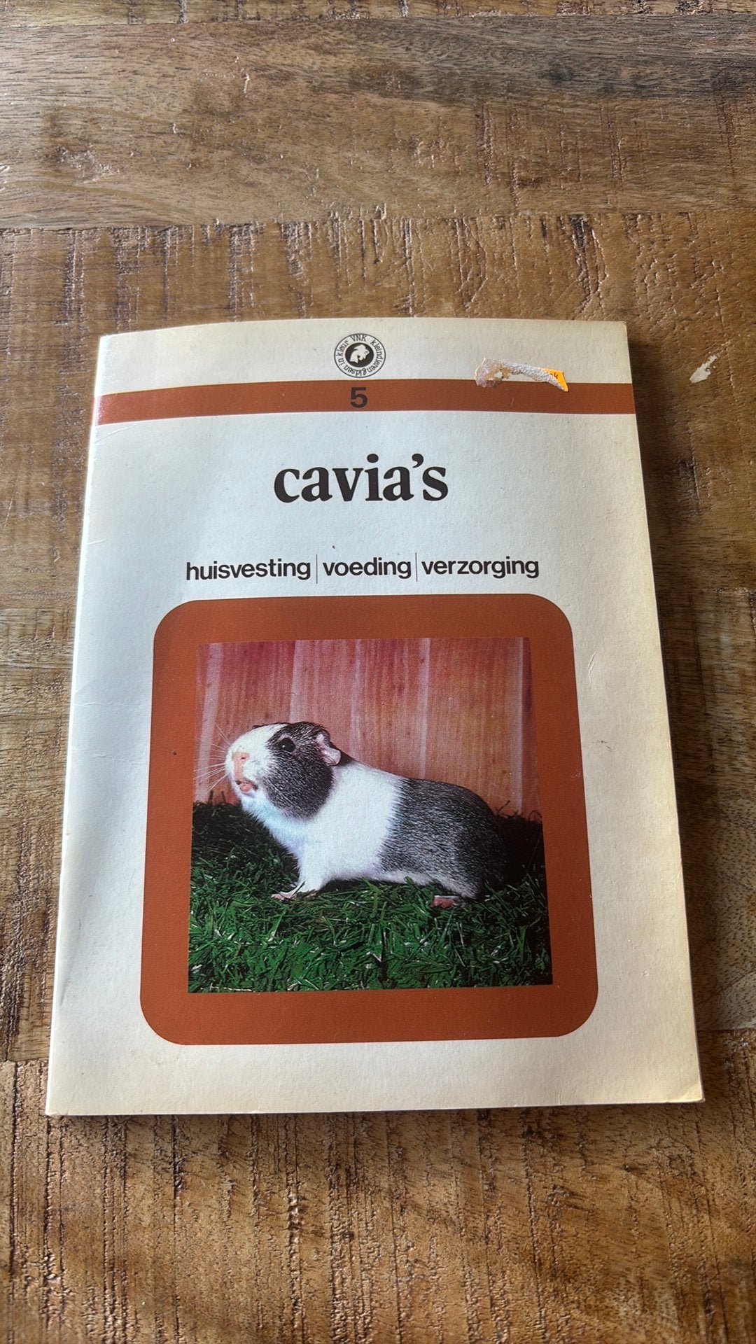 Cavia’s, Ophalen of Verzenden, Zo goed als nieuw, Konijnen of Knaagdieren