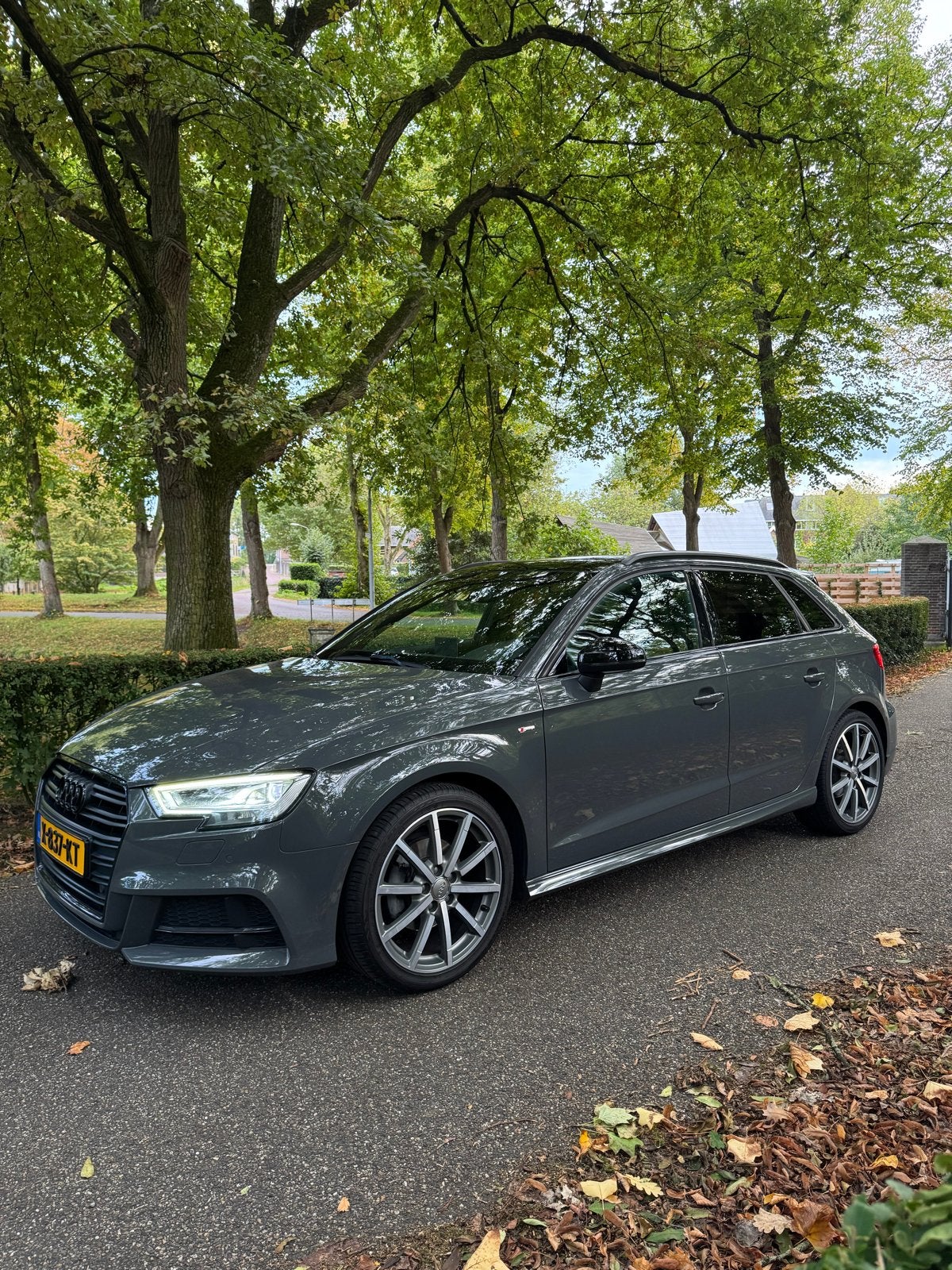 Audi A3 1.0 Tfsi 116pk 2017 Grijs, 620 kg, Handgeschakeld, 115 pk, Particulier