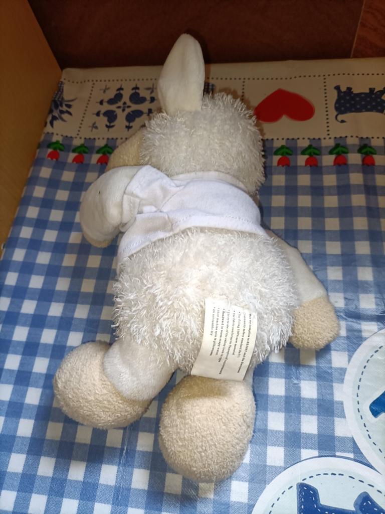 Schaap knuffel "Ik droom van stoom" stoomtrein ZLSM, Ophalen of Verzenden, Zo goed als nieuw, Overige typen