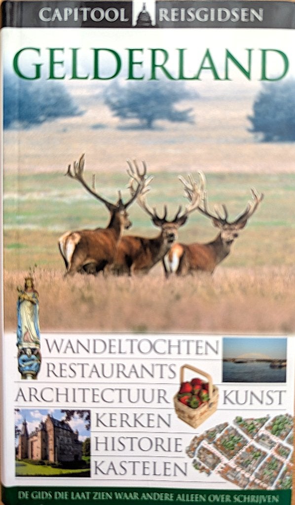 Gelderland, Capitool reisgids, Capitool, Wouter Christiaens, Europa, Ophalen of Verzenden