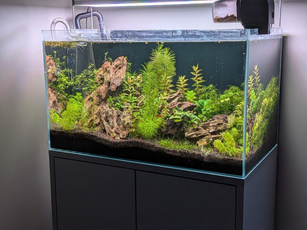 oase scaperline 60, Ophalen, Gebruikt, Oase, Leeg aquarium