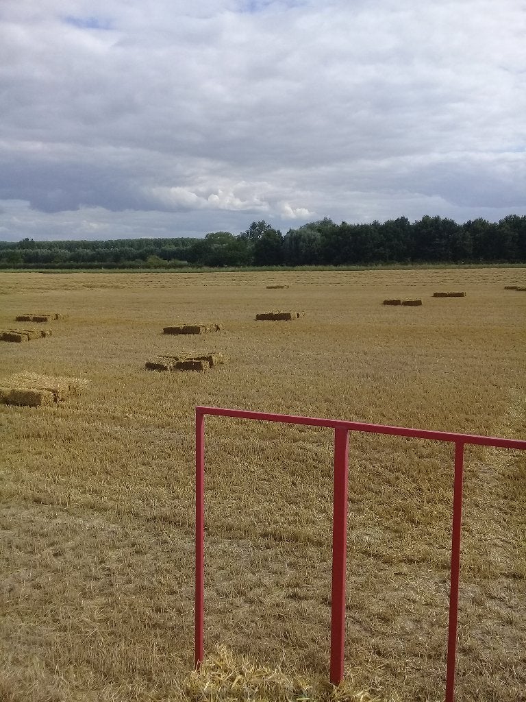 Kleine balen tarwe en geste stro, Ophalen, Vee