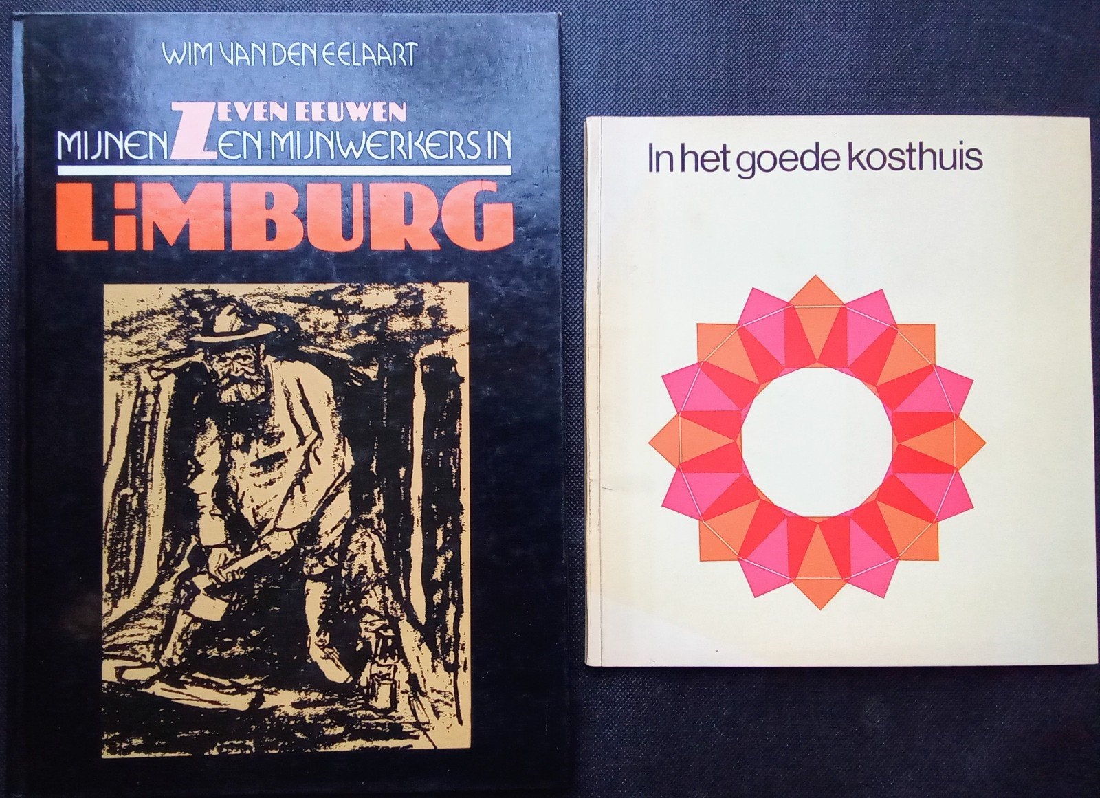 Boeken over geschiedenis mijnbouw Limburg (1965-80), Boeken, Ophalen of Verzenden, Zo goed als nieuw