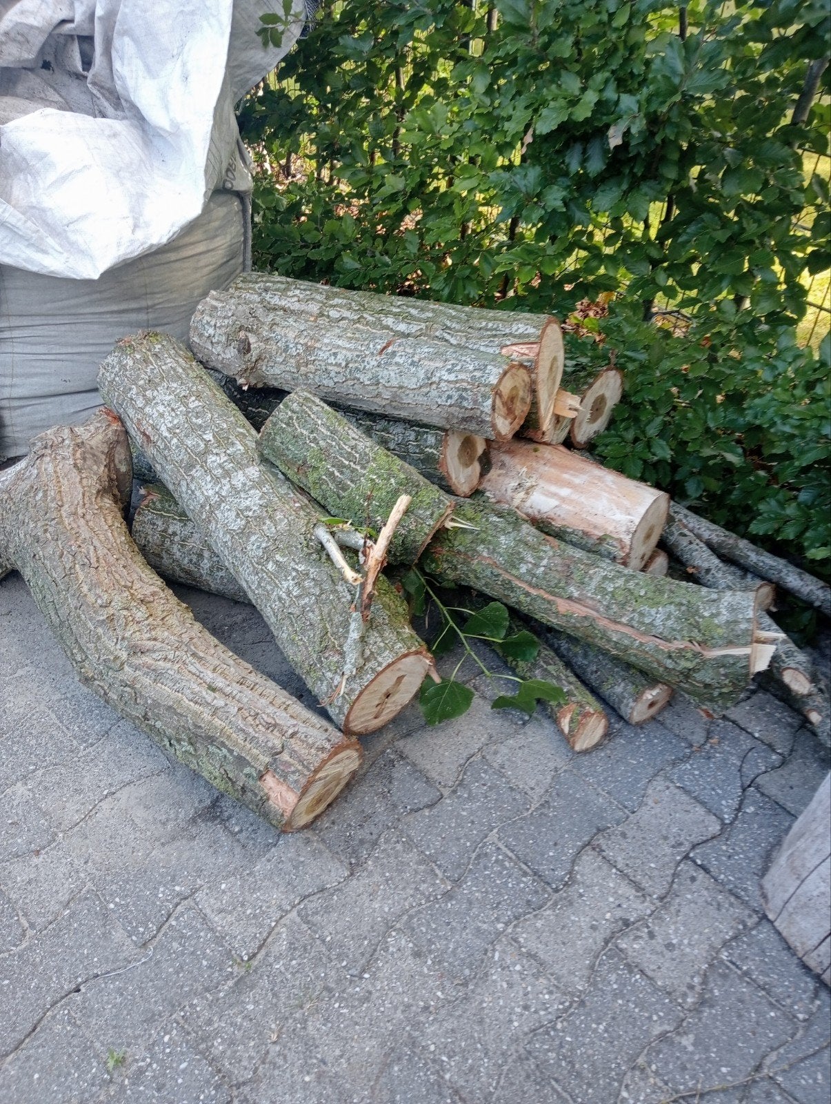 2 kuub haardhout populier, Tuin en Terras, Haardhout, Minder dan 3 m³, Ophalen