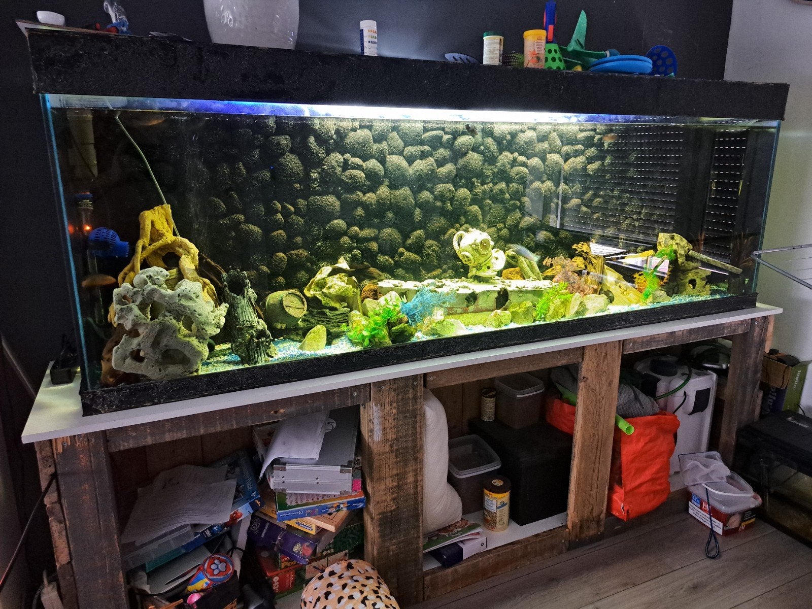 aquarium 230x40x80, Dieren en Toebehoren, Ophalen, Gebruikt, Overige typen