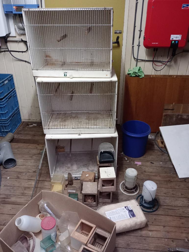broedkooien voor vogels, Dieren en Toebehoren, Vogels | Hokken en Kooien, Ophalen, Gebruikt, Hout, Broedkooi of Kweekkooi