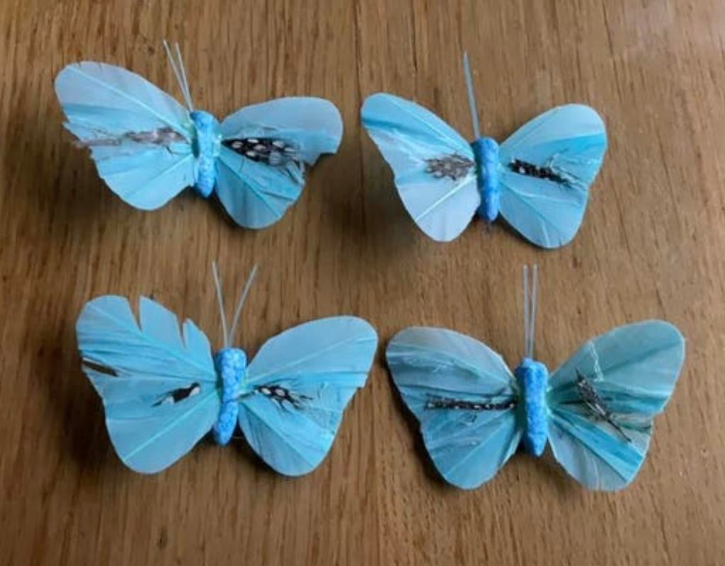 4 vlinders, Ophalen of Verzenden, Zo goed als nieuw