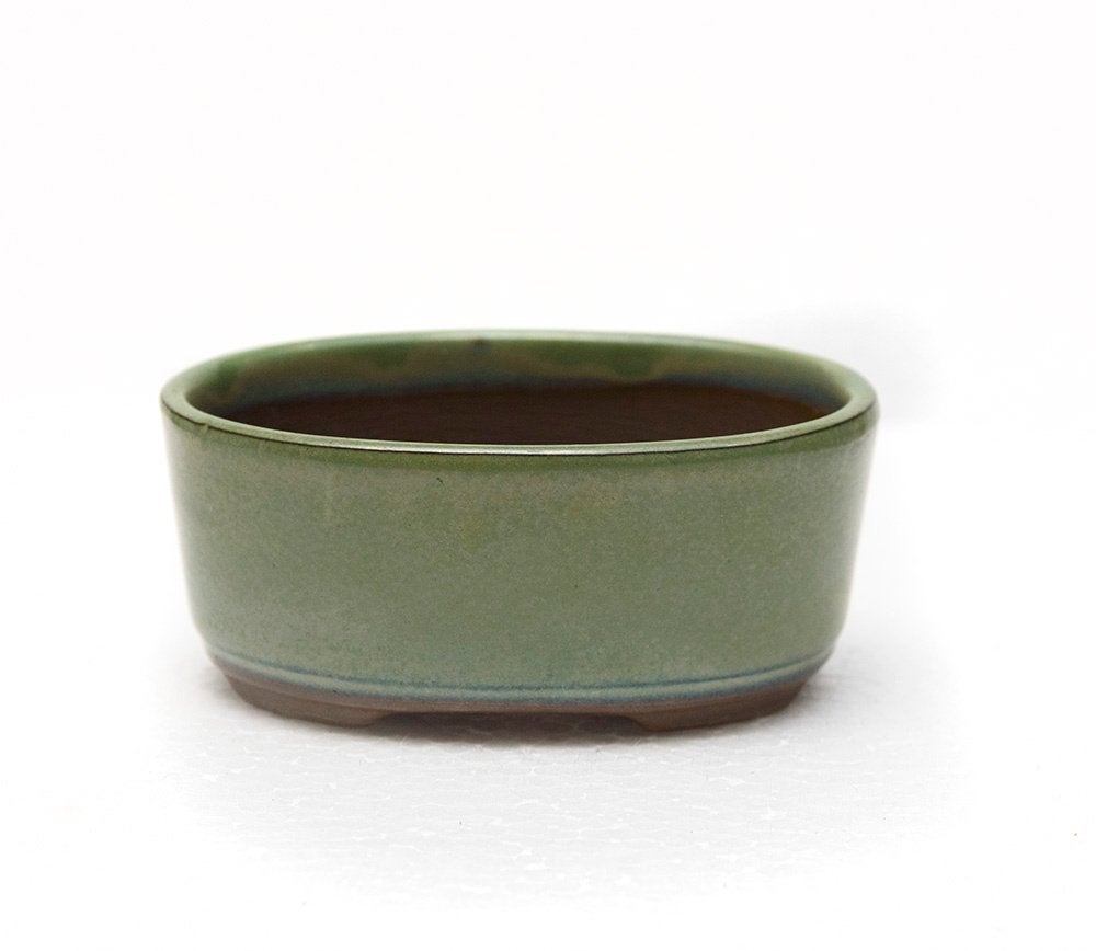Japans Bonsai potje, Rond, Ophalen of Verzenden, Zo goed als nieuw, Binnen