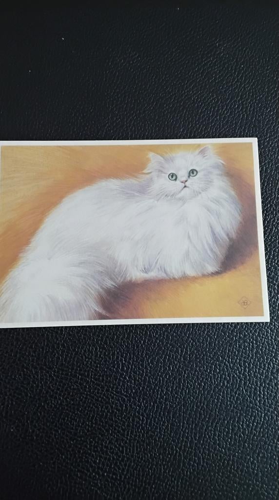 Vintage Ansichtkaart: Witte Perzische Chinchilla Kat, Ophalen of Verzenden, 1960 tot 1980, Ongelopen