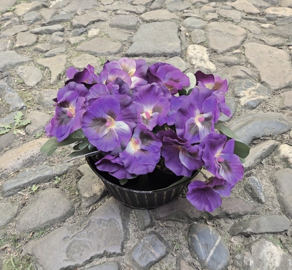 VIOOLTJES - KUNST - 4 KLEUREN, Ophalen of Verzenden, Nieuw, Buiten