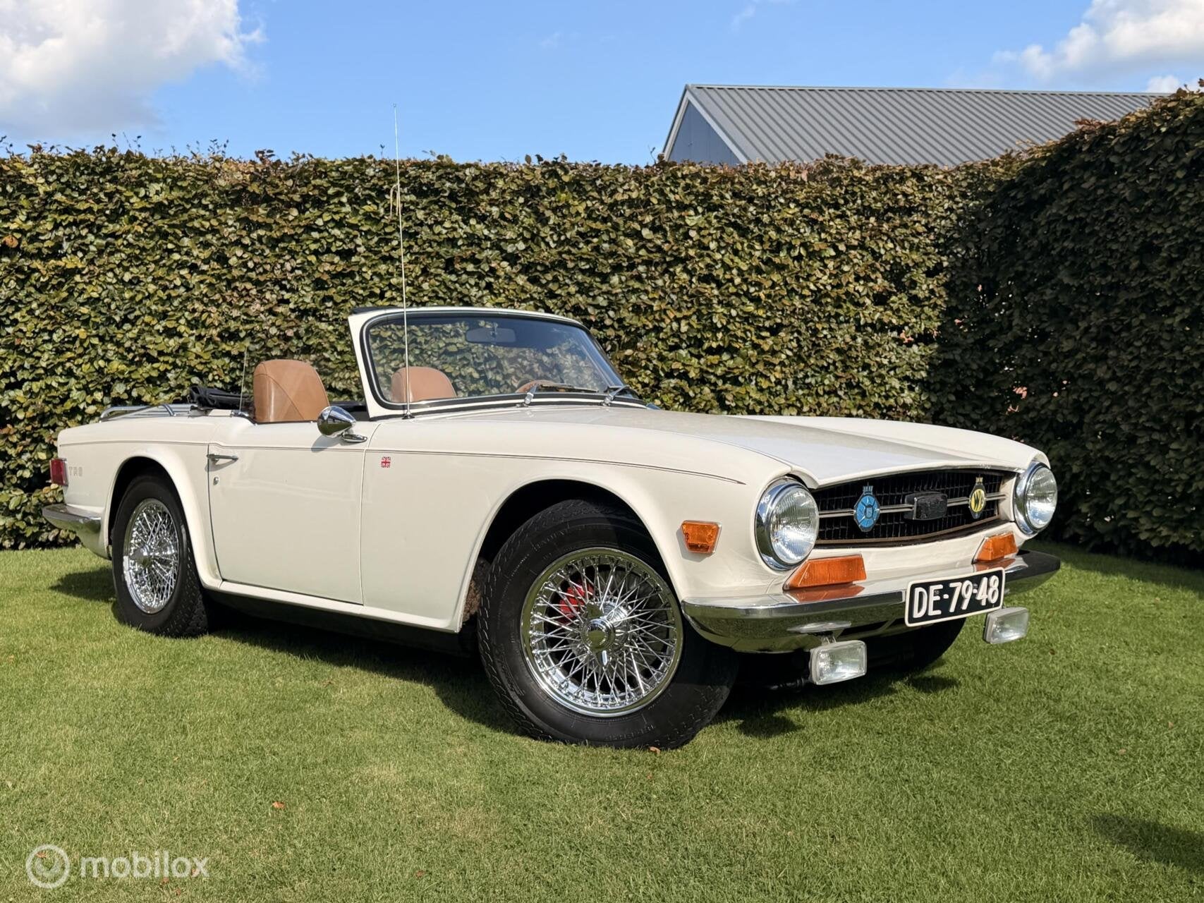 Triumph TR6 Soft Top 1969, Gebruikt, Lederen bekleding, Cabriolet, Leder