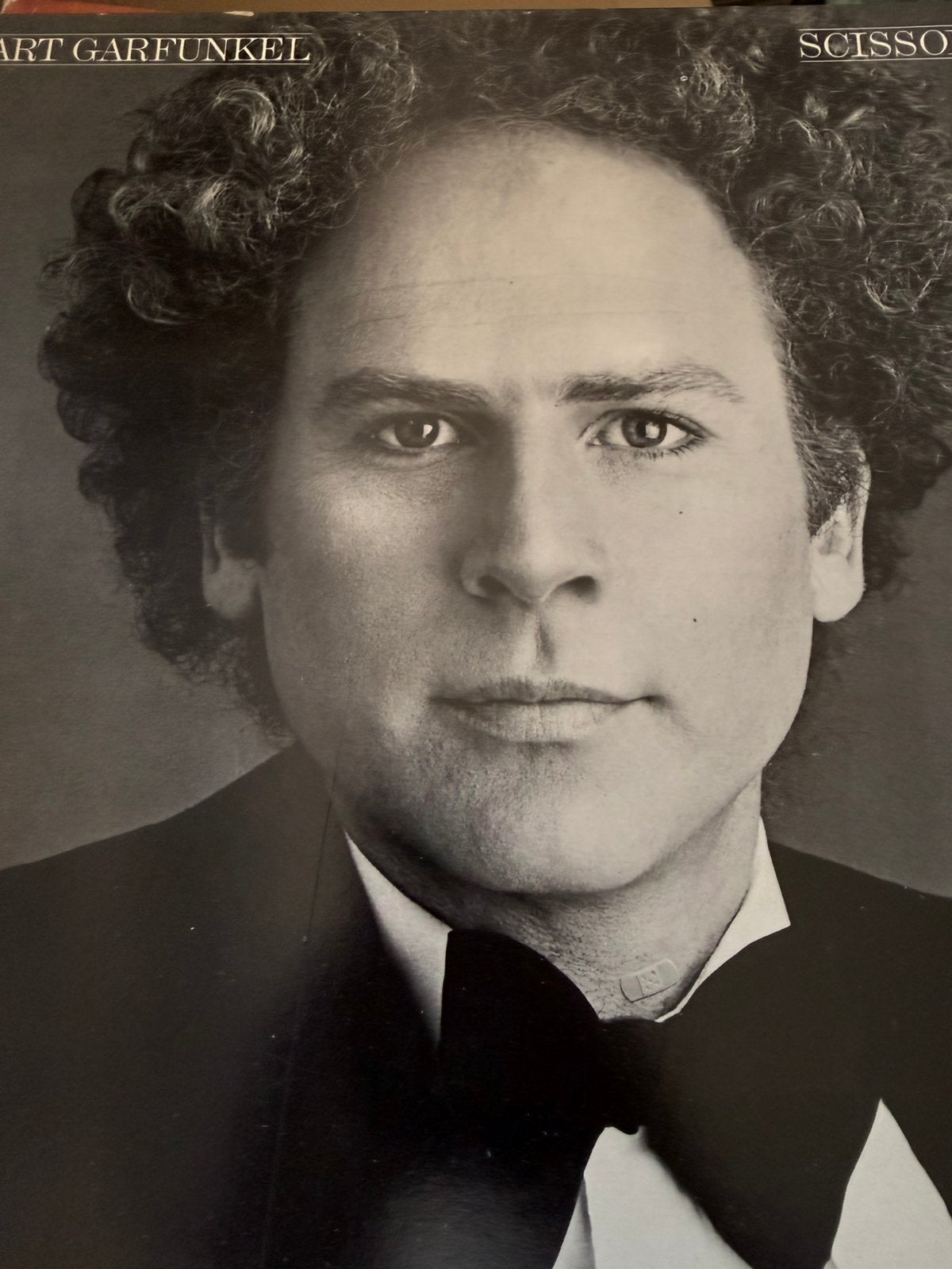 Lp art garfunkel scissor, Ophalen of Verzenden, LP