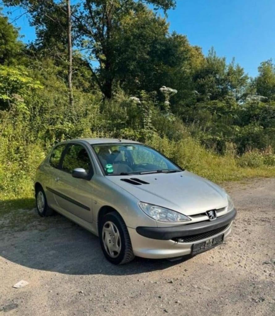 Peugeot 206 Silber Top, Ophalen of Verzenden