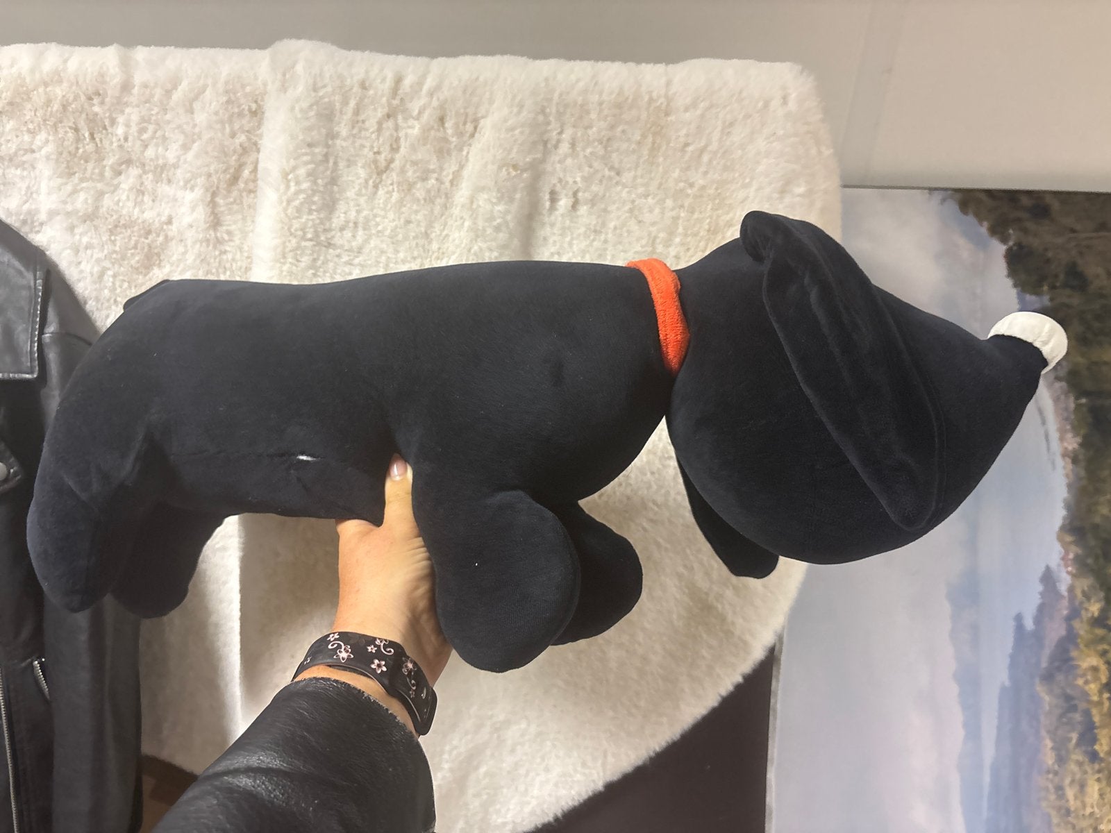 Zwarte Teckel Knuffel - Zacht en Speels, Zwart, Zo goed als nieuw, Middelgroot (20 tot 80 cm), Hond
