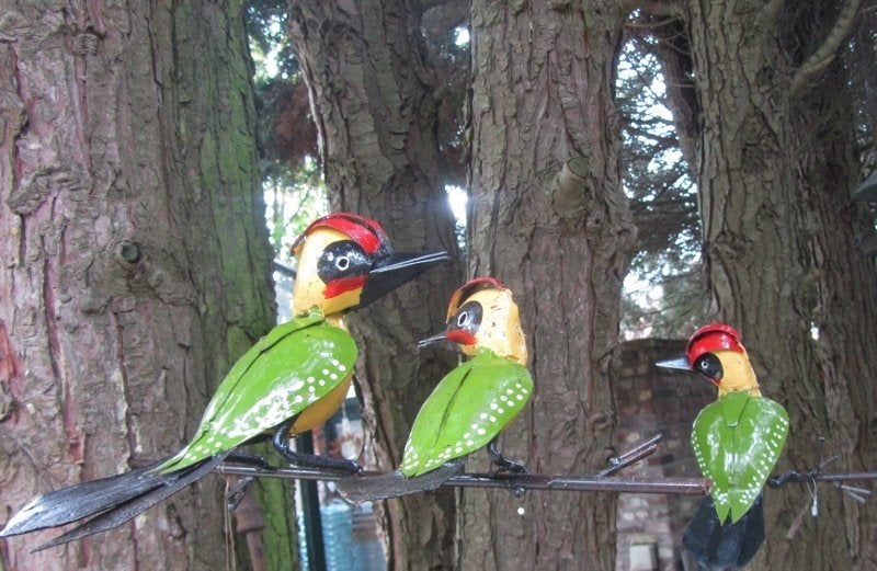 GROENE SPECHT MET JONG OP TAK - STREET ART - FAIRTRADE, Ophalen of Verzenden, Nieuw