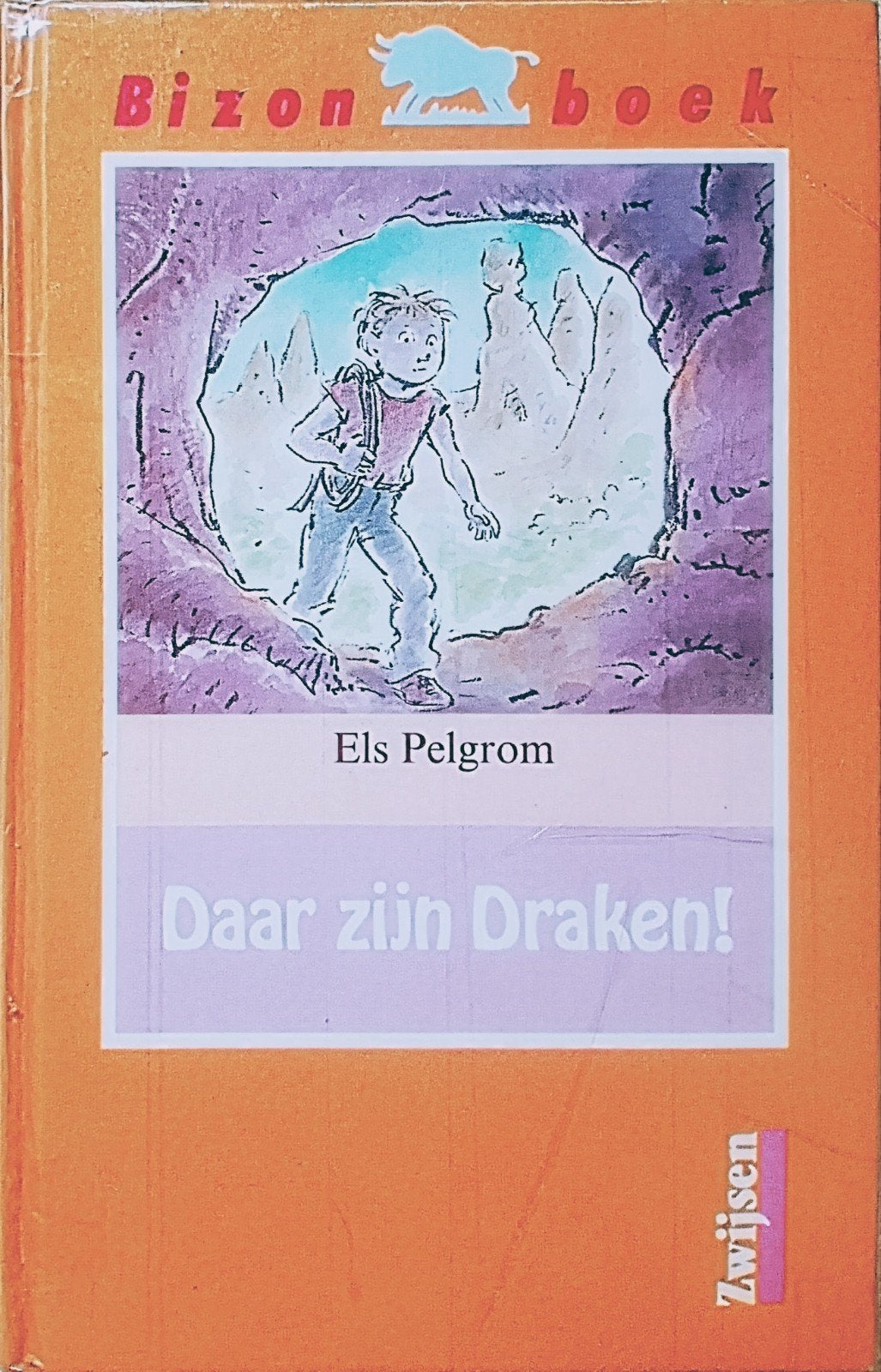 Daar Zijn Draken!, Boeken, Kinderboeken | Jeugd | onder 10 jaar, Gelezen, Fictie algemeen, Ophalen of Verzenden, Els Pelgrom.