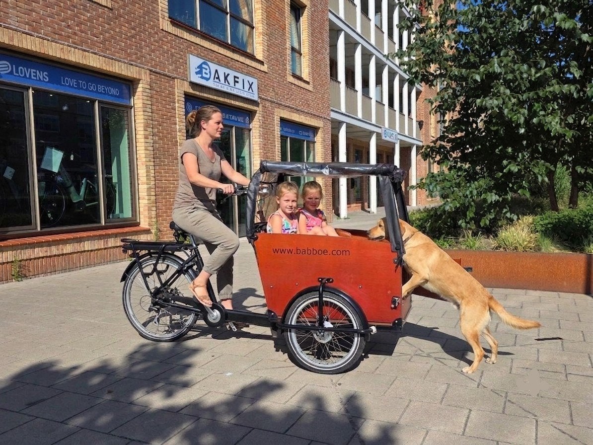 2de hands elektrische Babboe Big hondenbakfiets, 4 kinderen of meer, Ophalen of Verzenden, Babboe, Info@babboe.nl