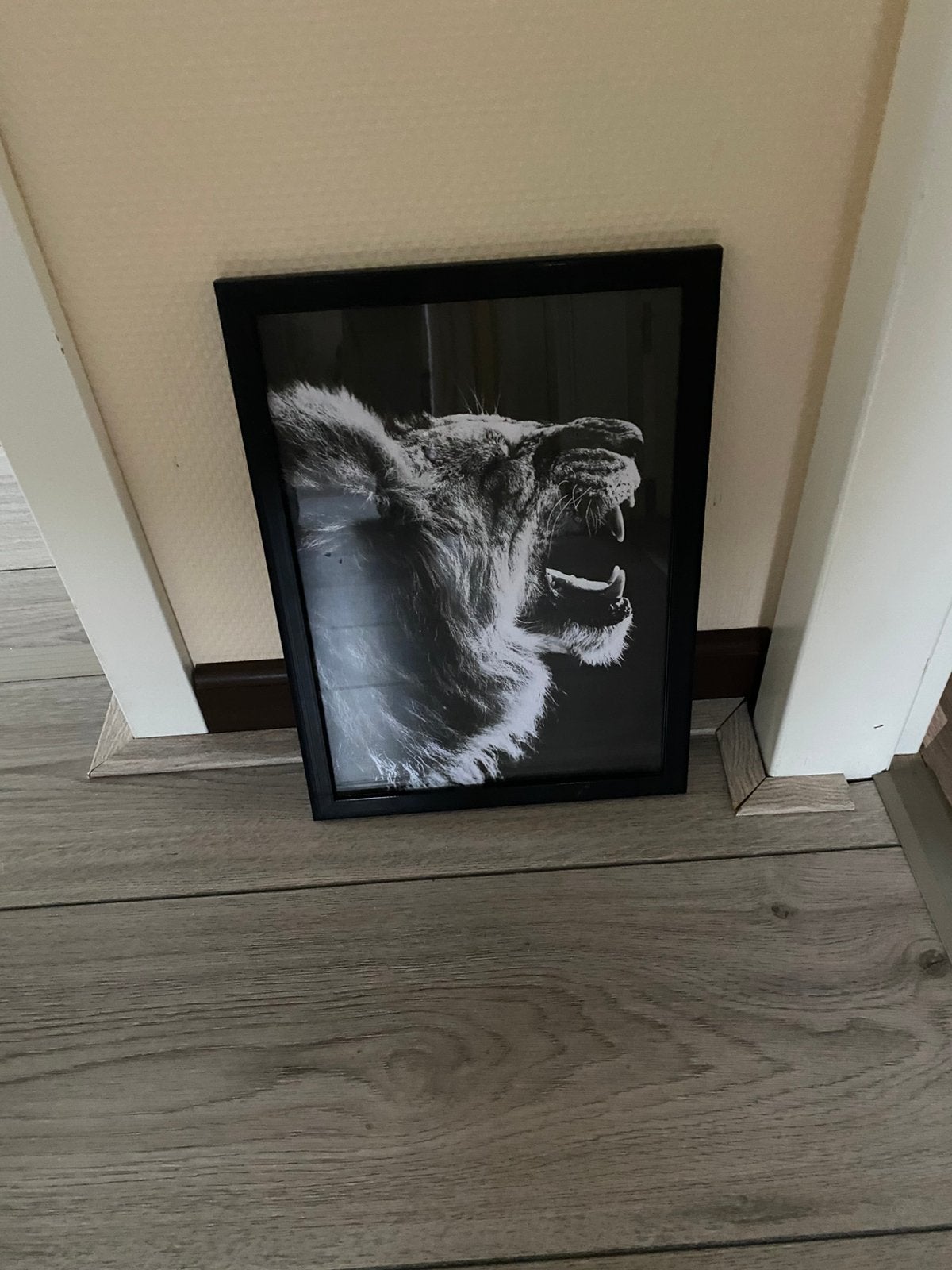Leeuwen schilderij, Huis en Inrichting, Ophalen of Verzenden, Zo goed als nieuw