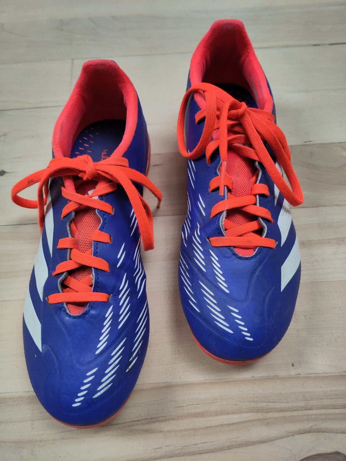 Adidas Predator voetbalschoenen - Maat 36,5, Sport en Fitness, Ophalen of Verzenden, Gebruikt, Schoenen