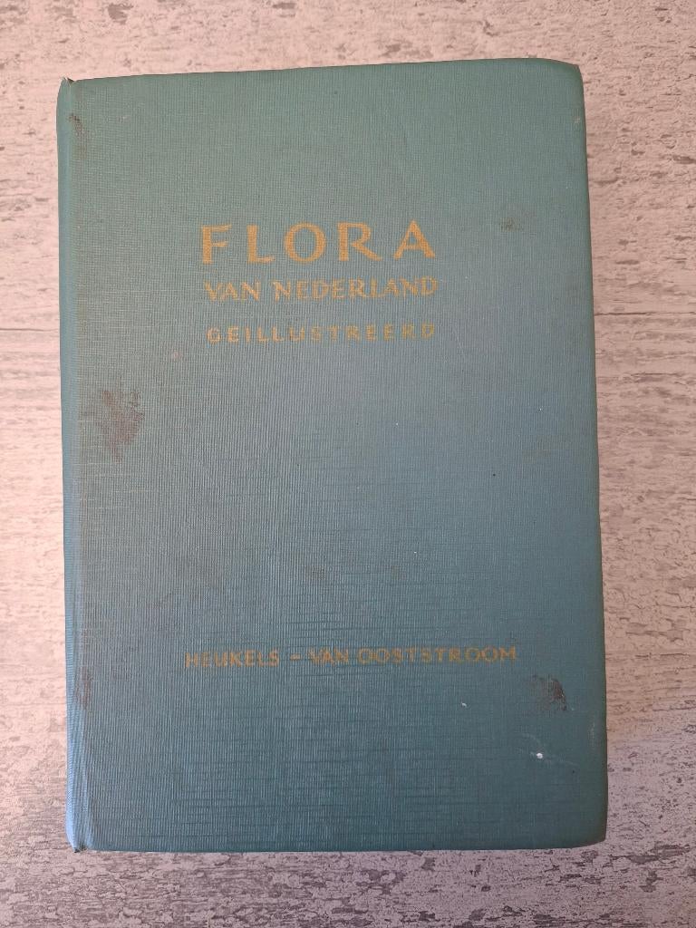 Flora van Nederland met 1038 afbeeldingen, Boeken, Gelezen, Ophalen of Verzenden, S. J. van Ooststroom, Natuur algemeen